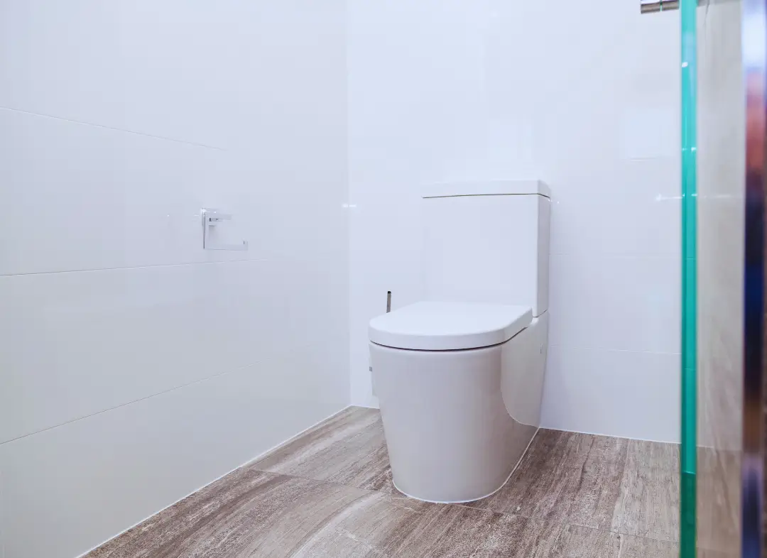 Remplacement de wc Thônes