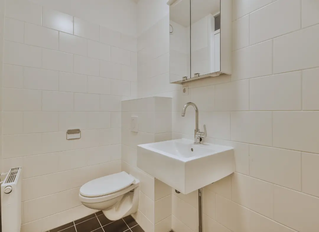 Pose WC Suspendu Thônes